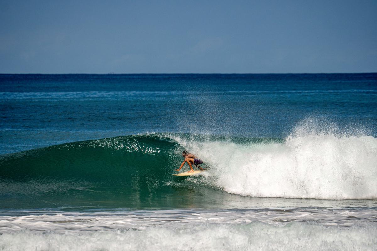 Surf Paradise photo 3