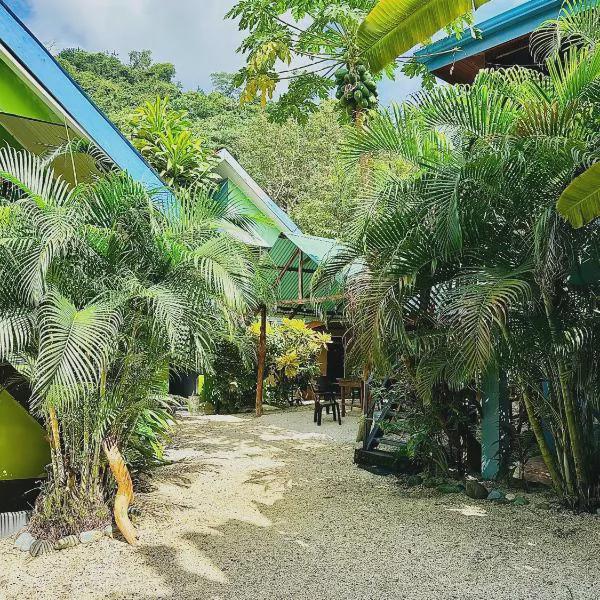 Surf Paradise photo 5