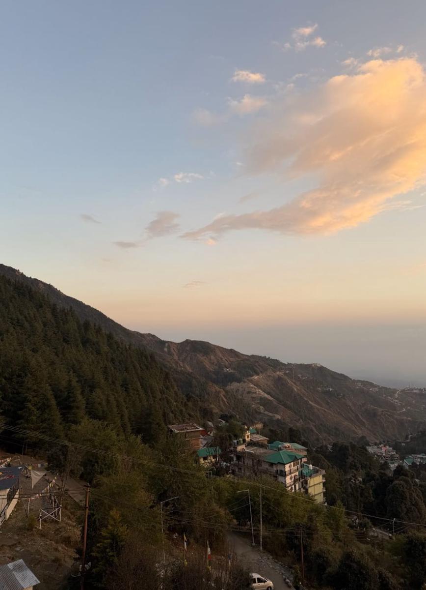 12 Monks - Bhagsu, McLeodGanj photo 4