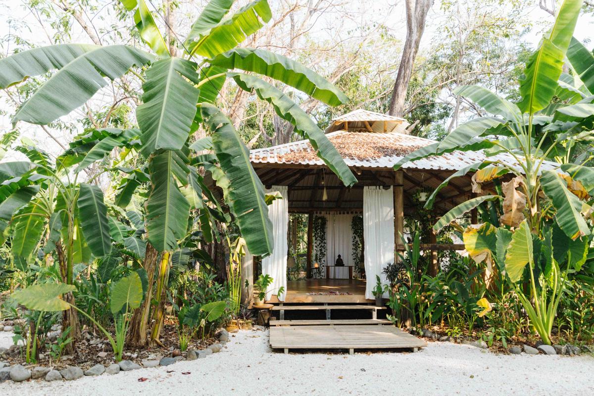 Zeneidas Surf Garden photo 2