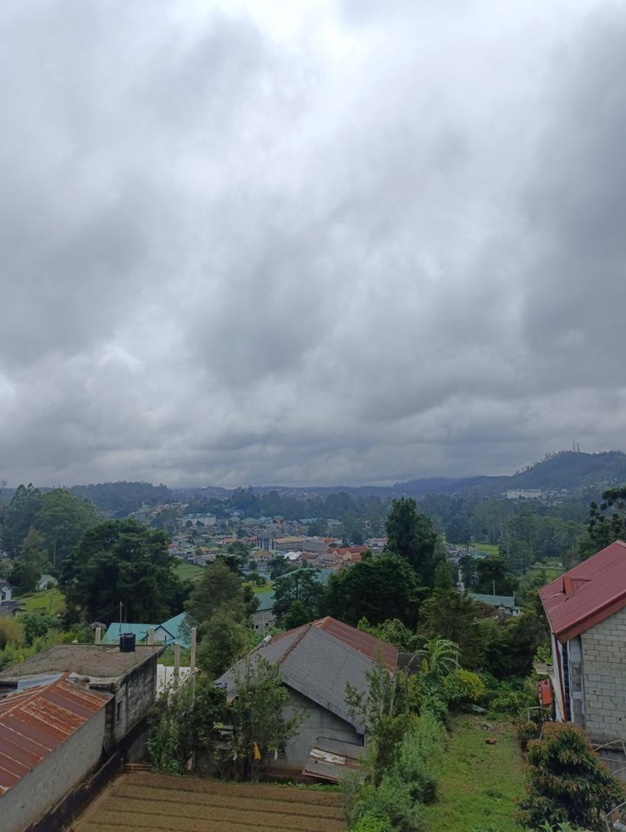 La Rose Home Stay photo 4