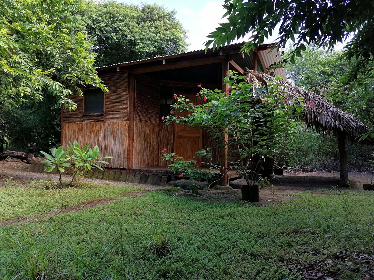 Memanta photo 1