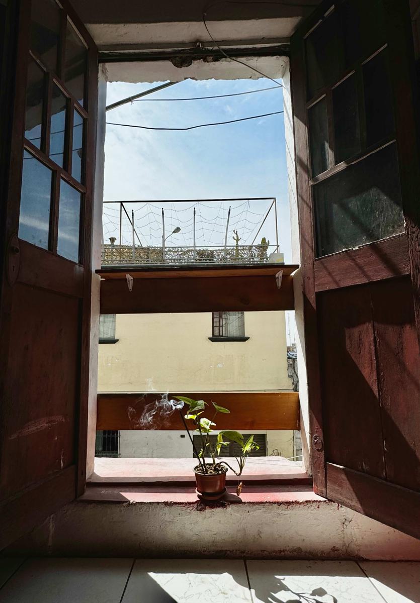 La Casita de Lulu photo 4