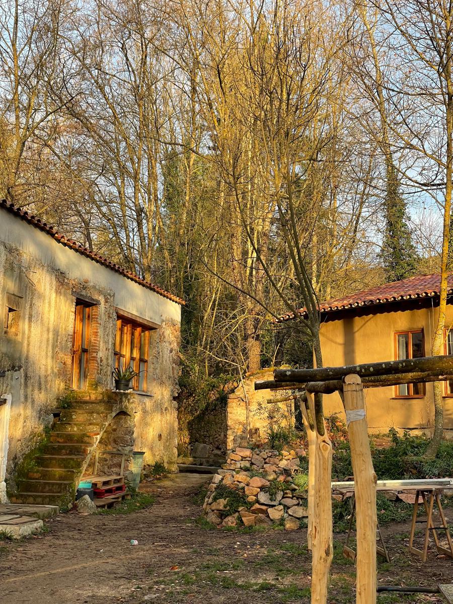 Albergue del Oso photo 4