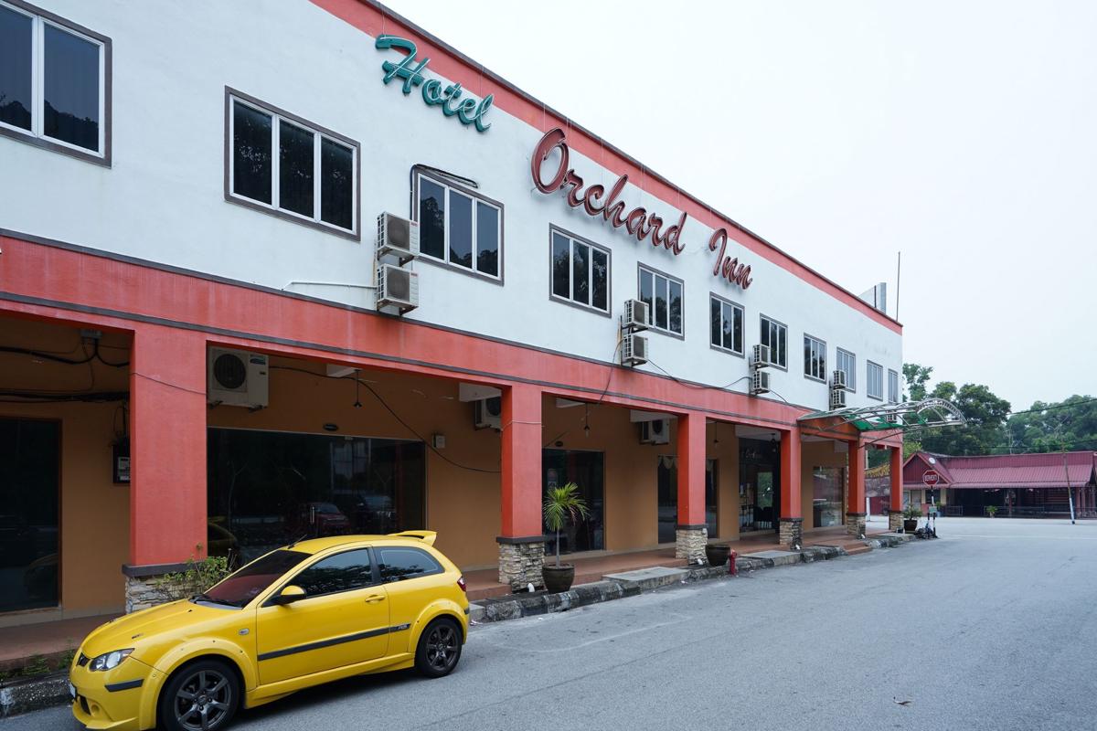 Hotel O Hotel Orchard Inn photo 3
