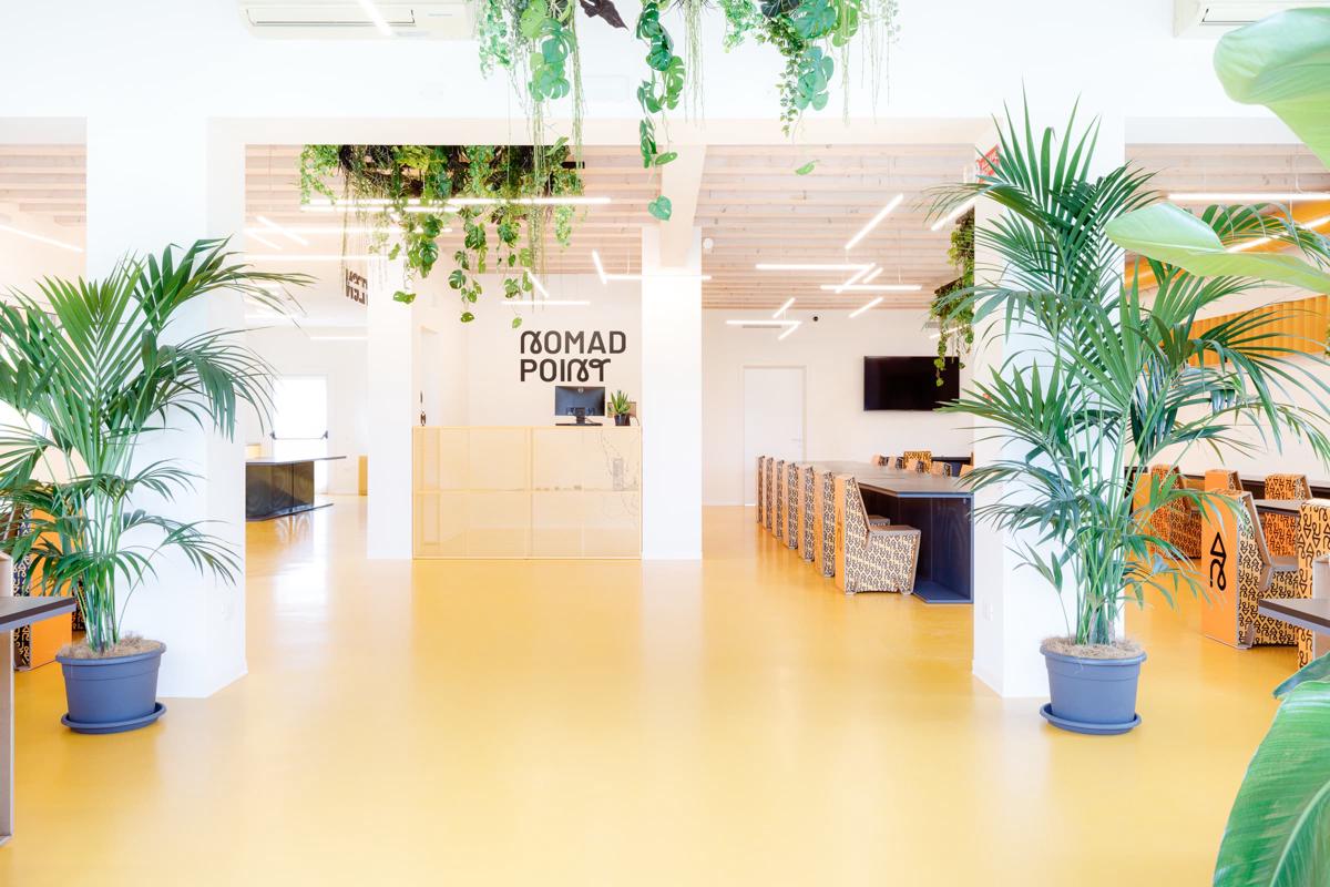 Nomad Hostel photo 1