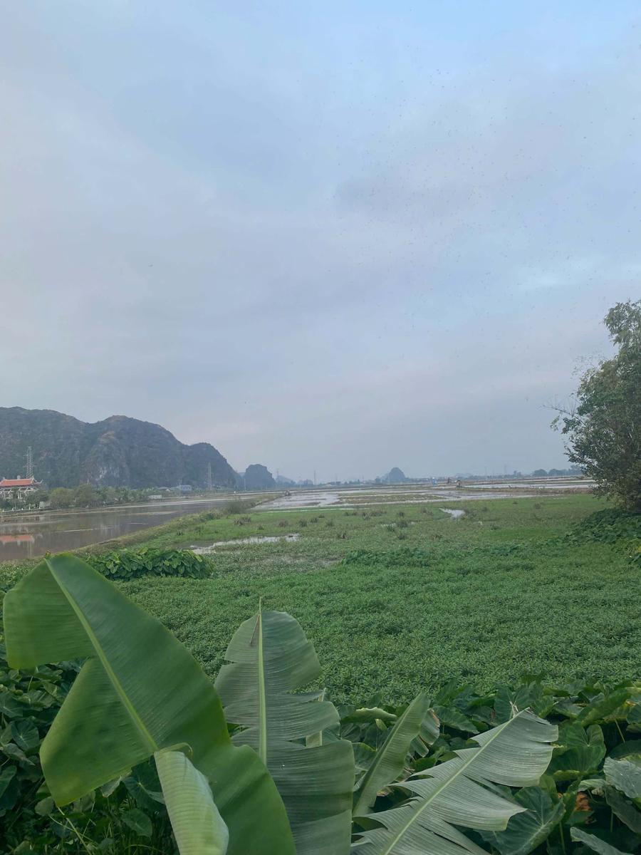 Tam Coc Your Home Hostel photo 1