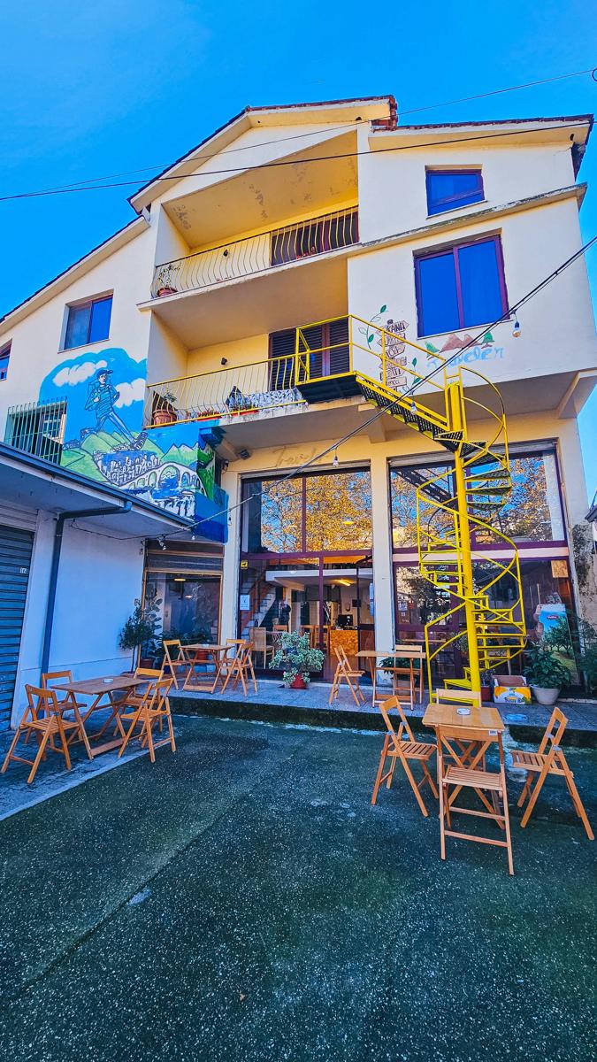 Traveler Hostel photo 1