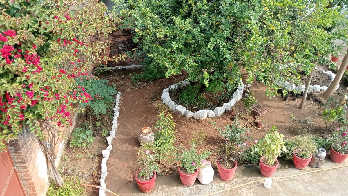 Khajuraho Rancho photo 3