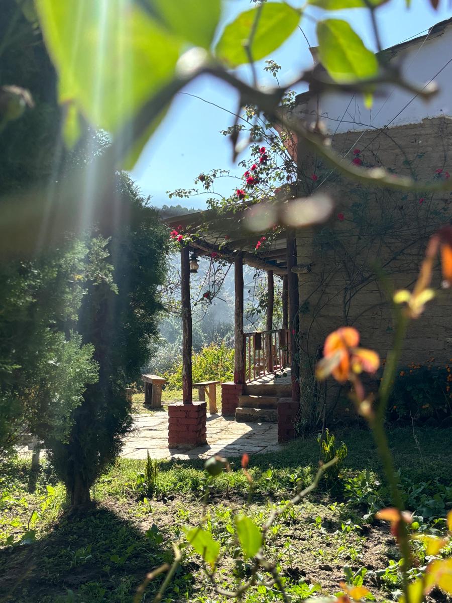 Maati Living Mukteshwar photo 1