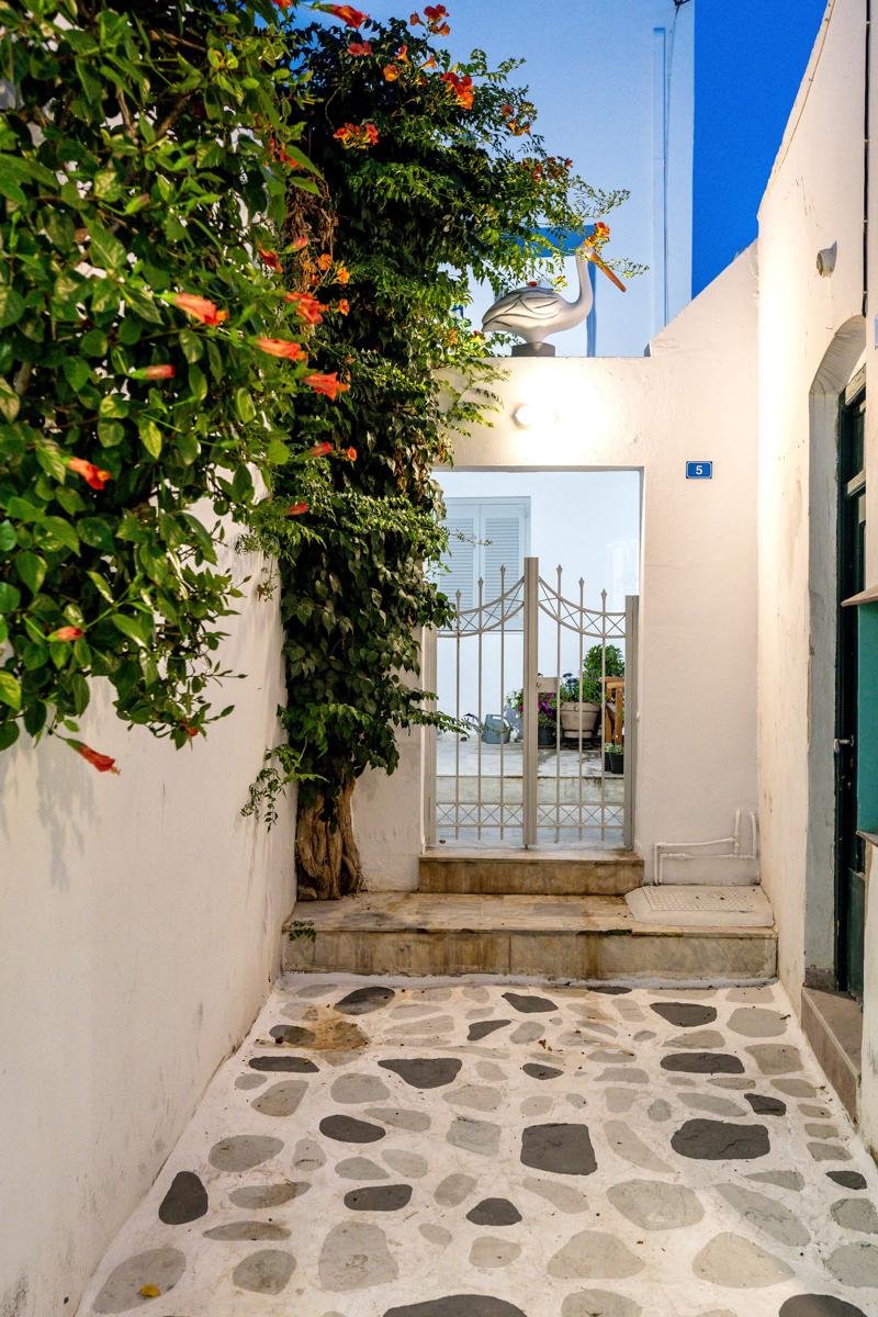Pelican Paros photo 1