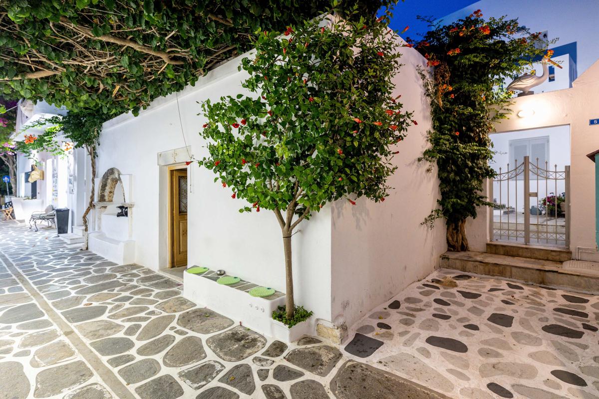Pelican Paros photo 3