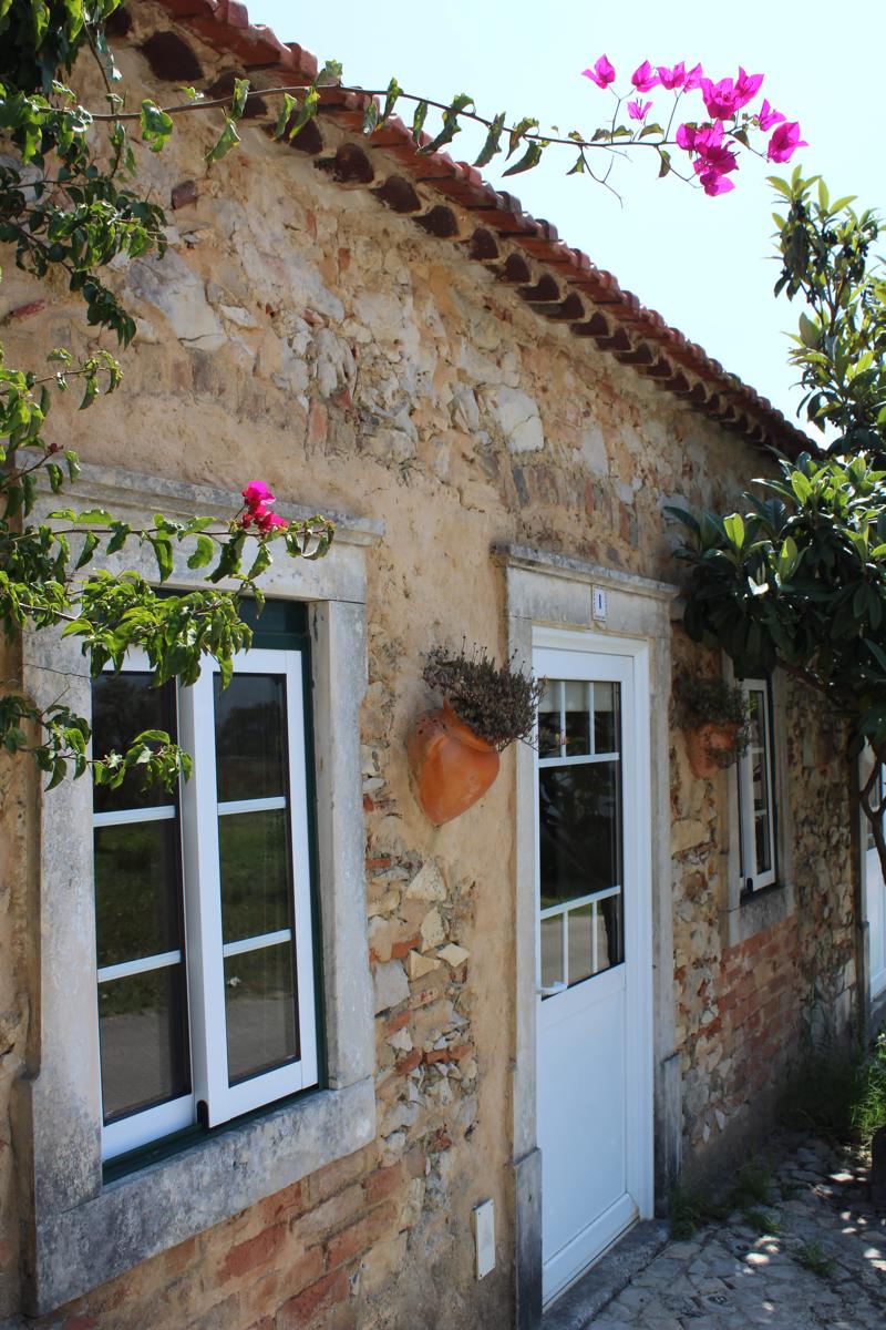 Pereira Guesthouse photo 3