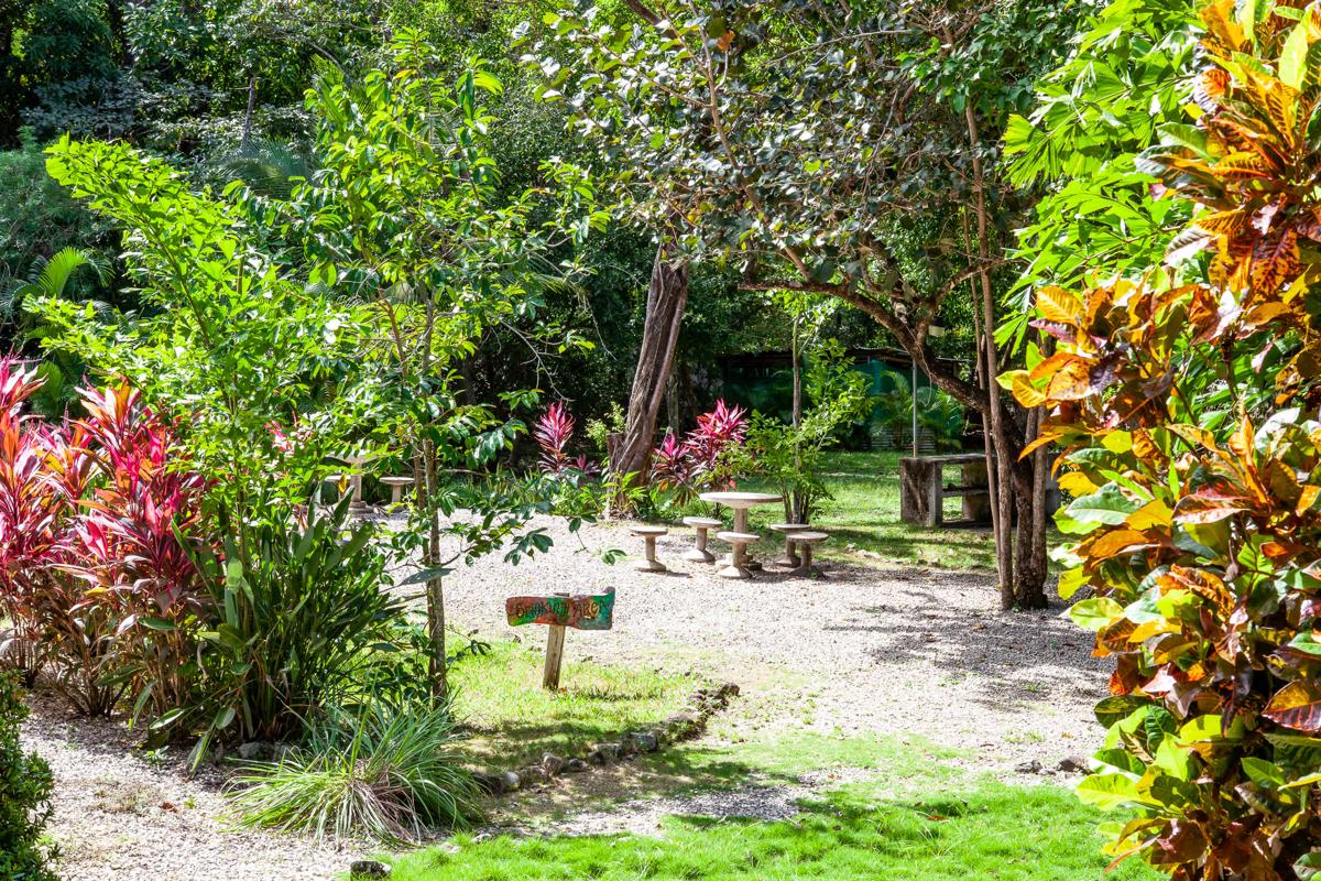 Nosara Hostel Costa Rica photo 3