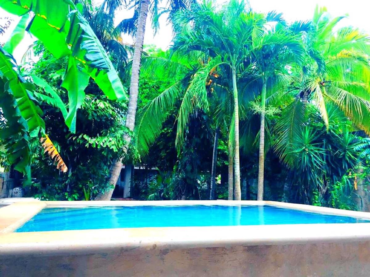 Hostal Villa Mercedes photo 3