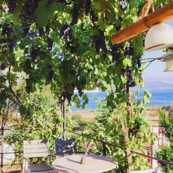 Villa Stone Dream Ohrid Lake View photo 5