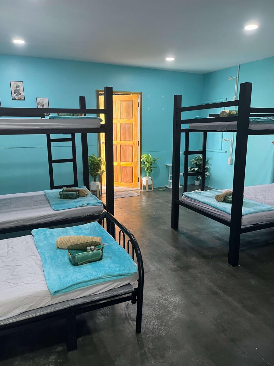 Blue Coconut Hostel & Homestay photo 2