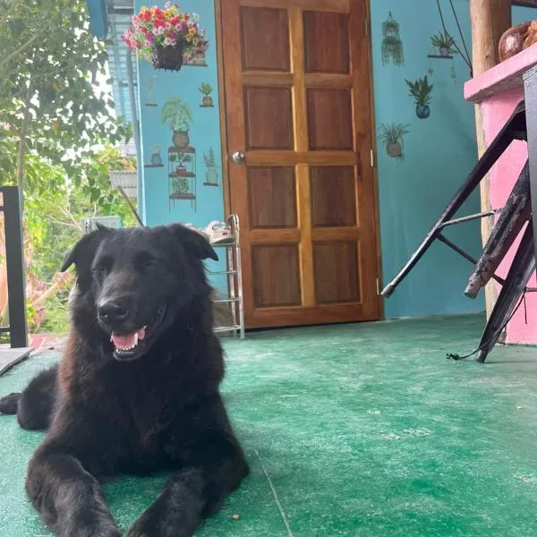 Blue Coconut Hostel & Homestay photo 5