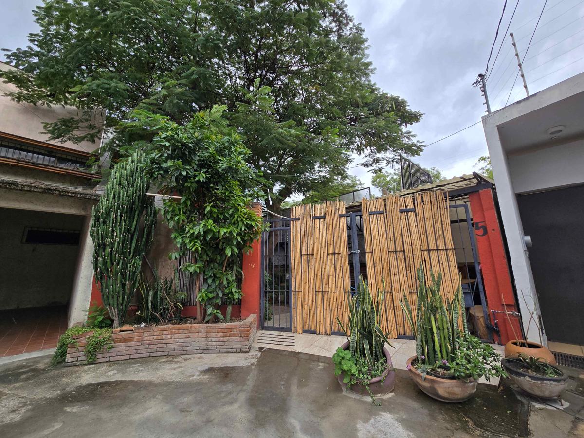Casa del Árbol Hostel Xochimilco photo 3