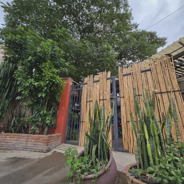 Casa del Árbol Hostel Xochimilco photo 5