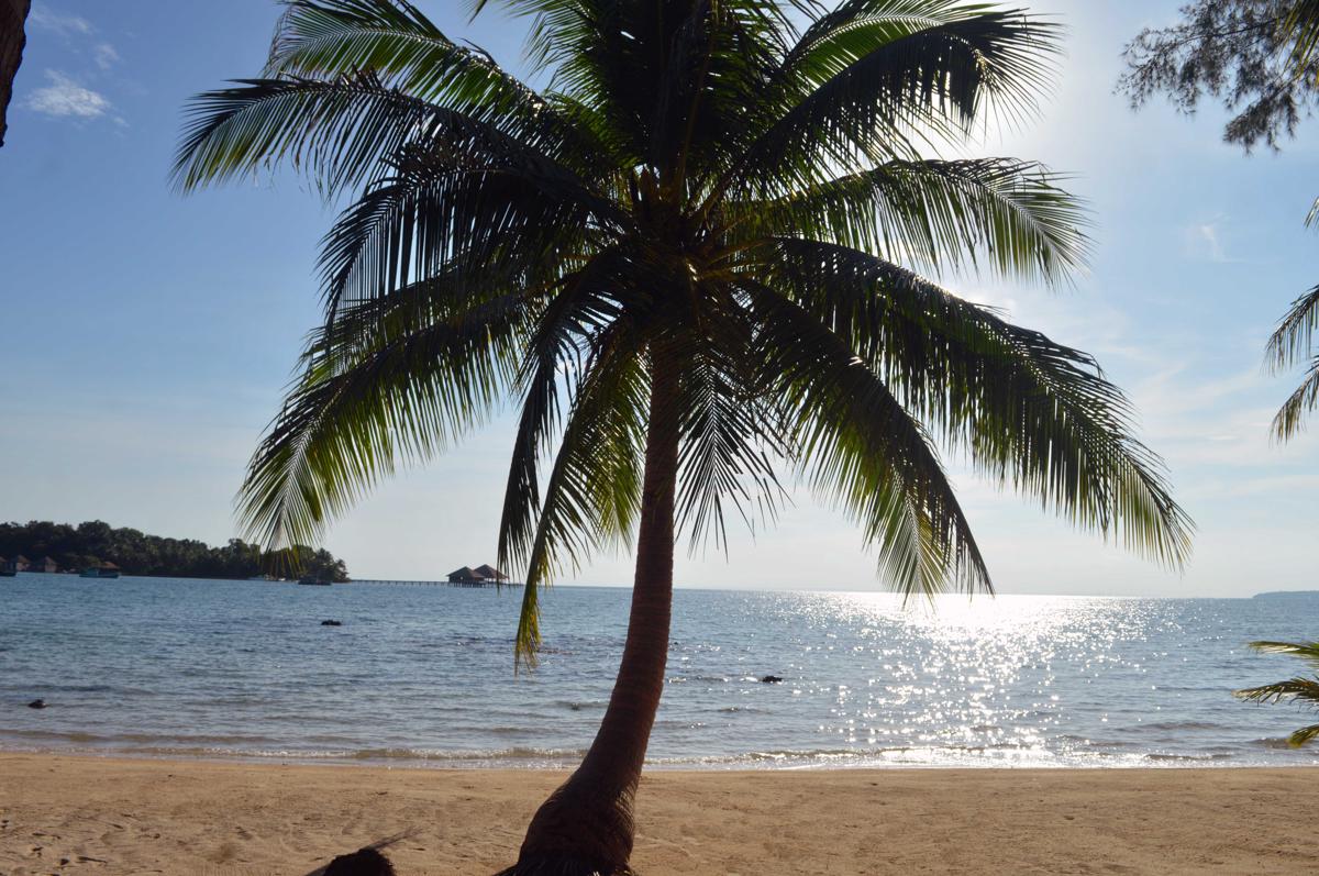 Salacia Palm Beach photo 4