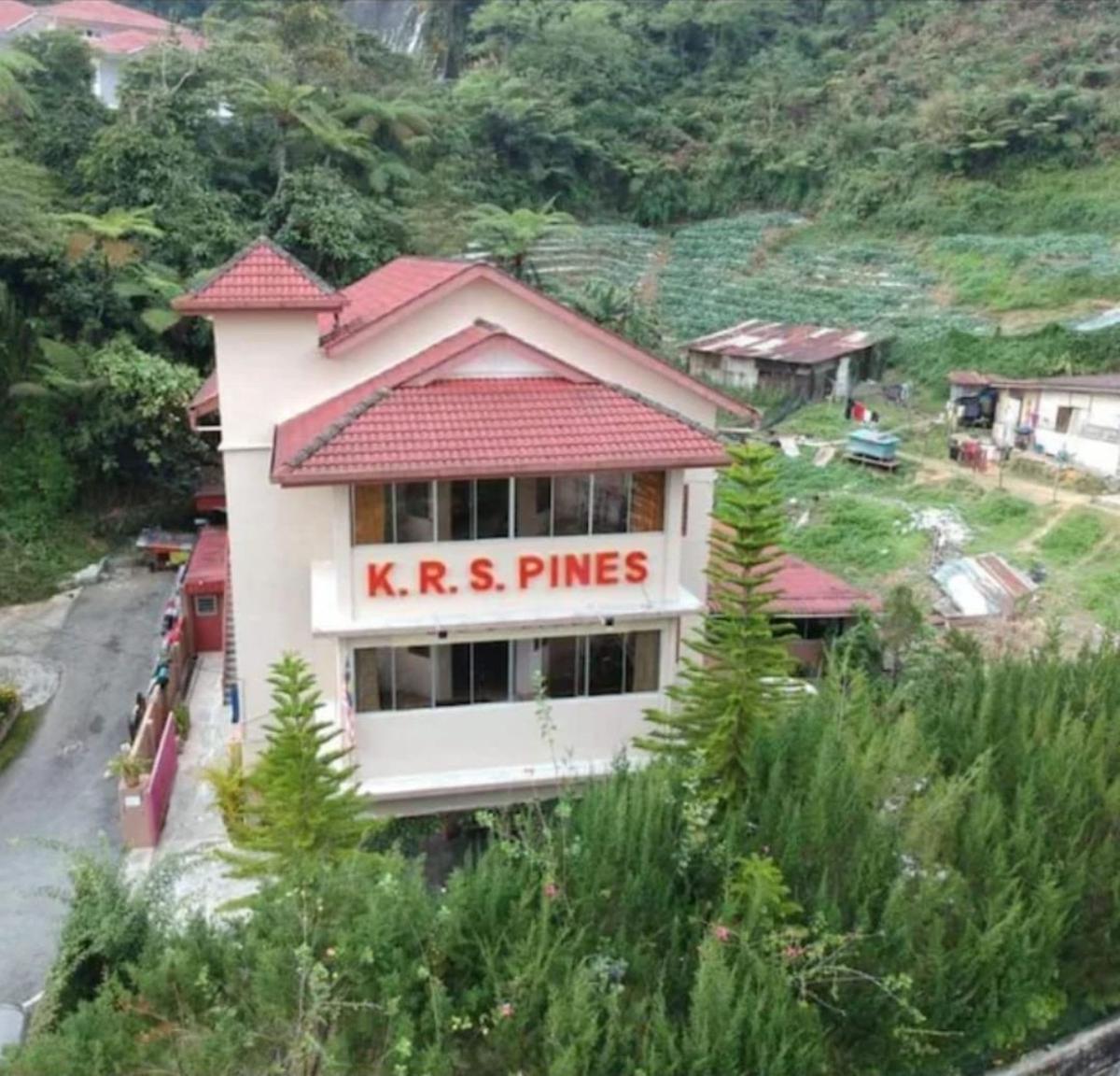 KRS Pines photo 1