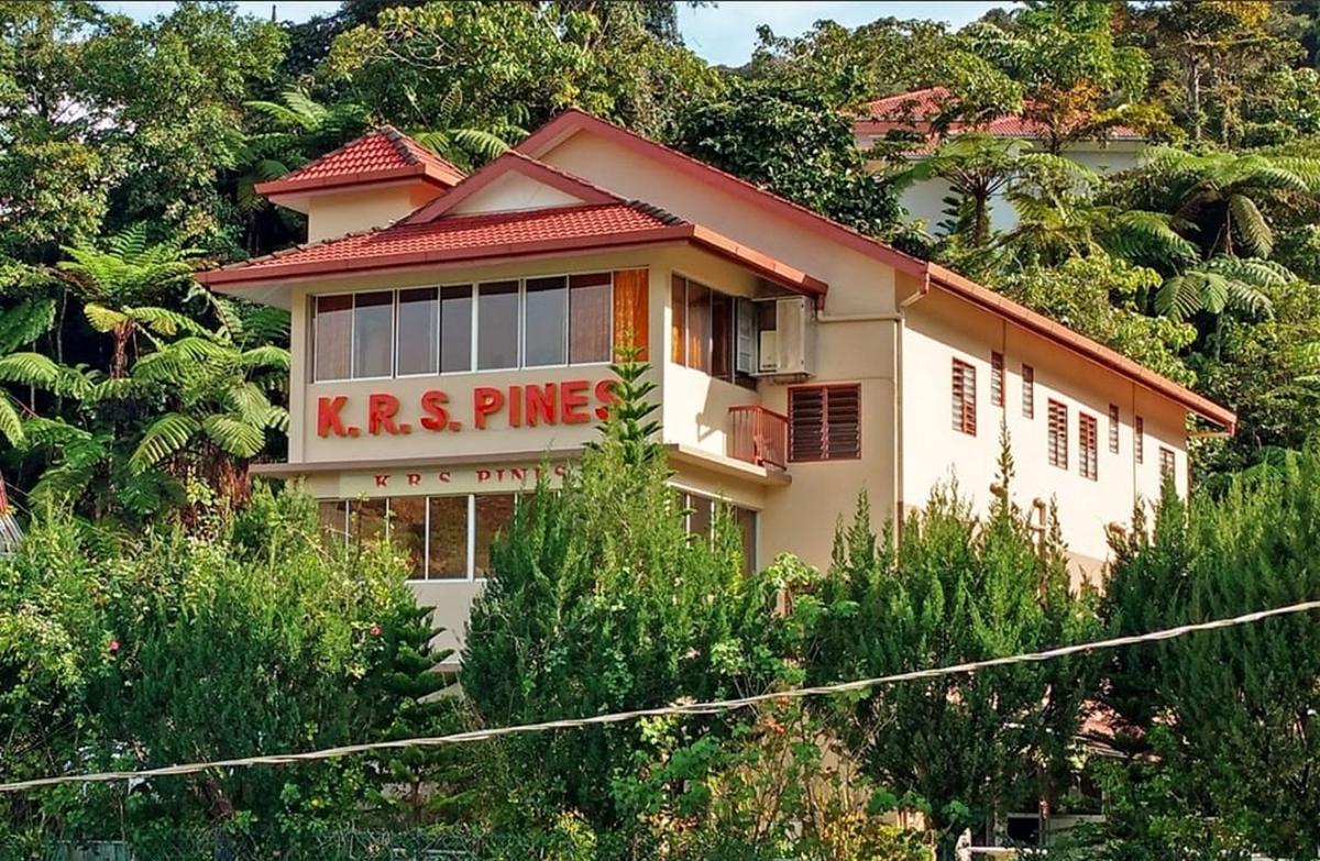 KRS Pines photo 2