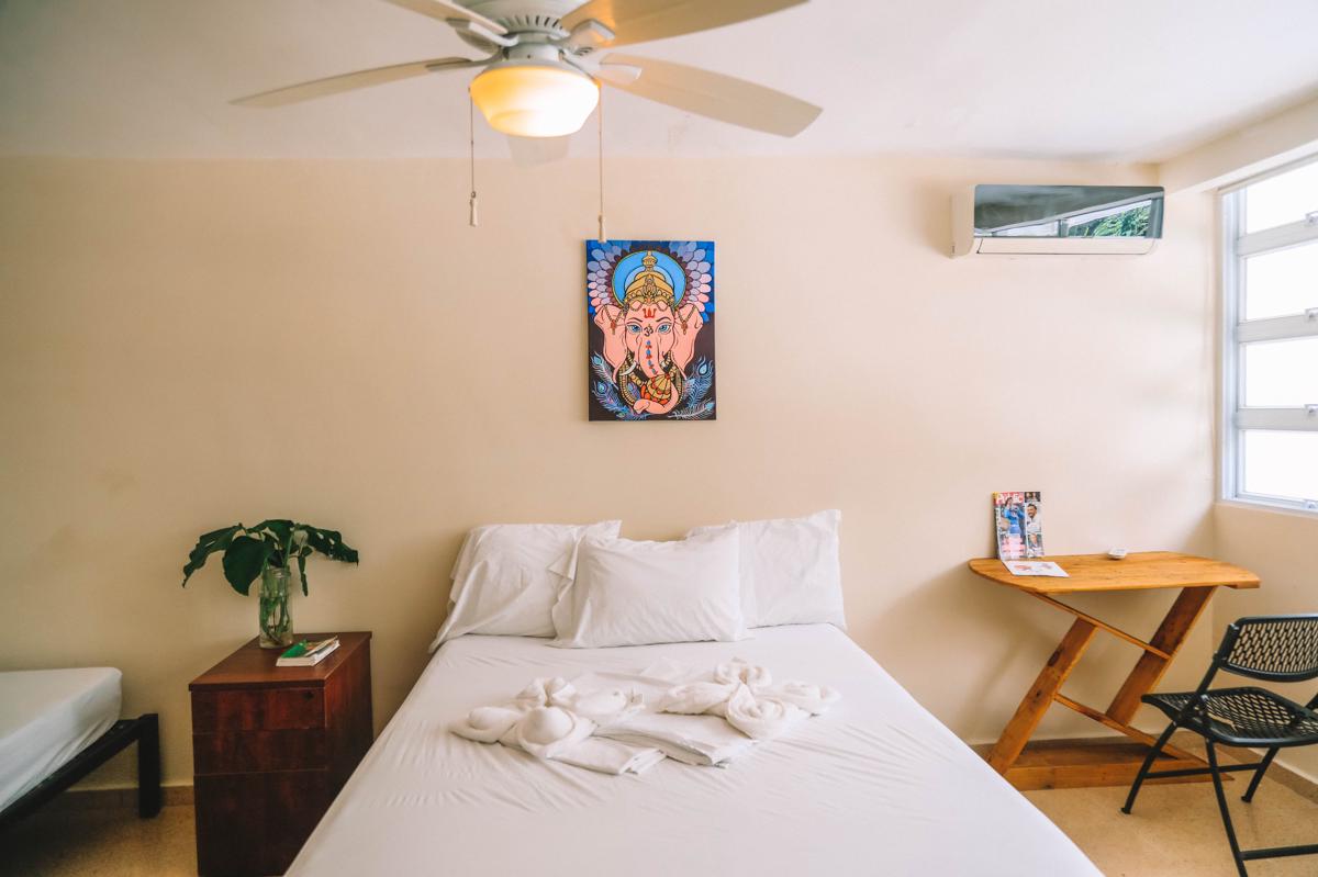 Bodhi Panama City photo 2