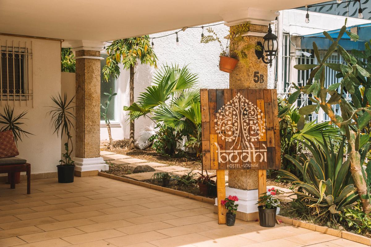 Bodhi Panama City photo 3