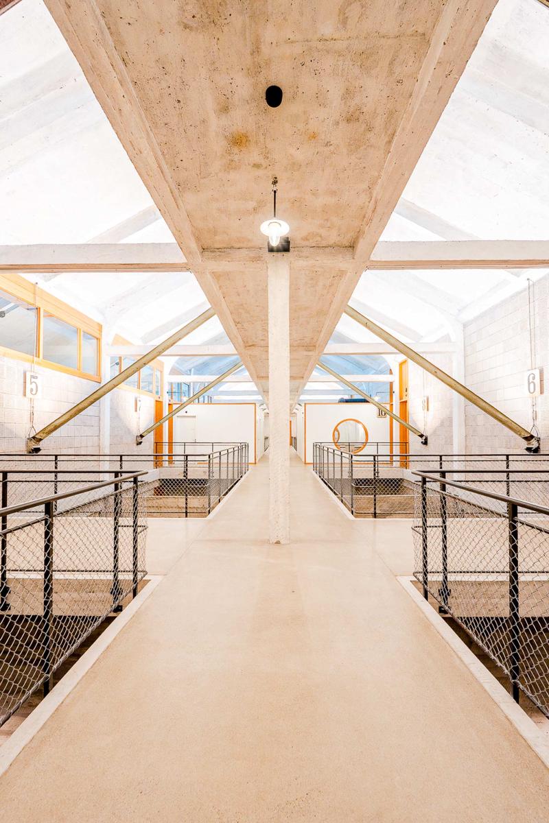 Silo Design & Boutique Hostel photo 3