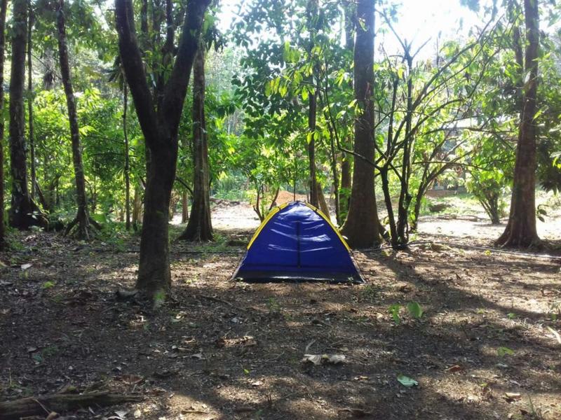 Rio Agujitas Eco Jungle Hostel, Camping and Tours photo 1