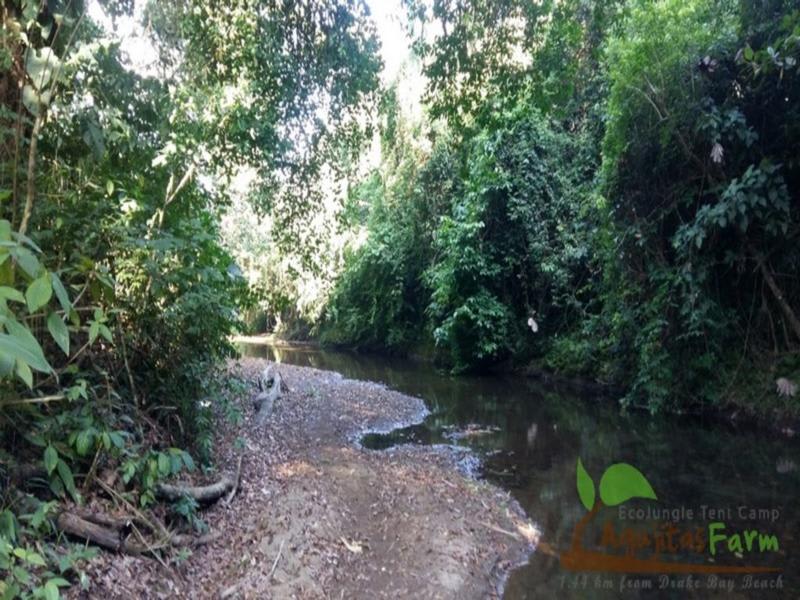 Rio Agujitas Eco Jungle Hostel, Camping and Tours photo 3