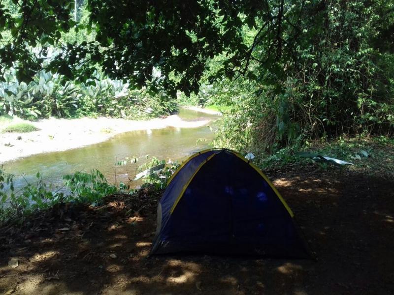 Rio Agujitas Eco Jungle Hostel, Camping and Tours photo 5