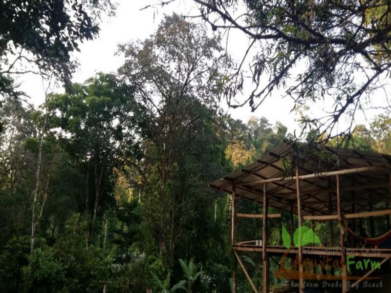 Rio Agujitas Eco Jungle Hostel, Camping and Tours photo 6