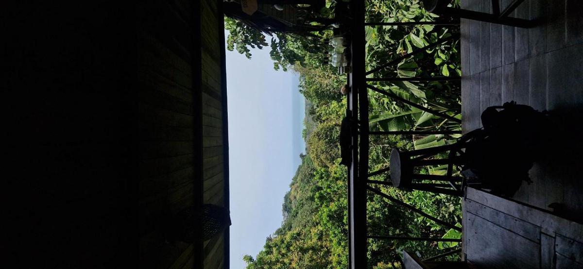 Finca La Selvita photo 6