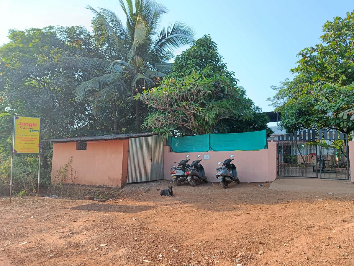 Jungle by sturmfrei Gokarna photo 2