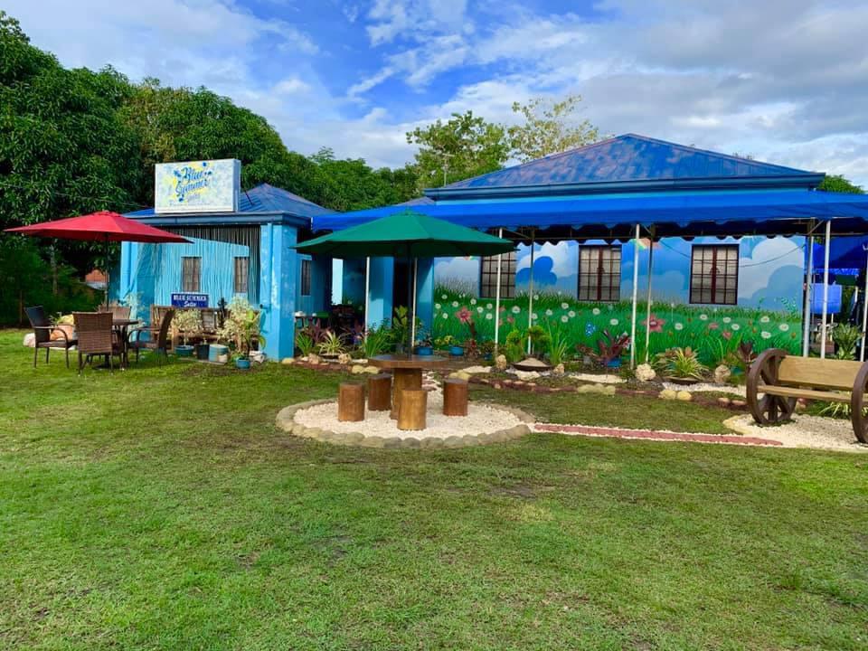 Blue Summer Suites & Restaurant photo 1