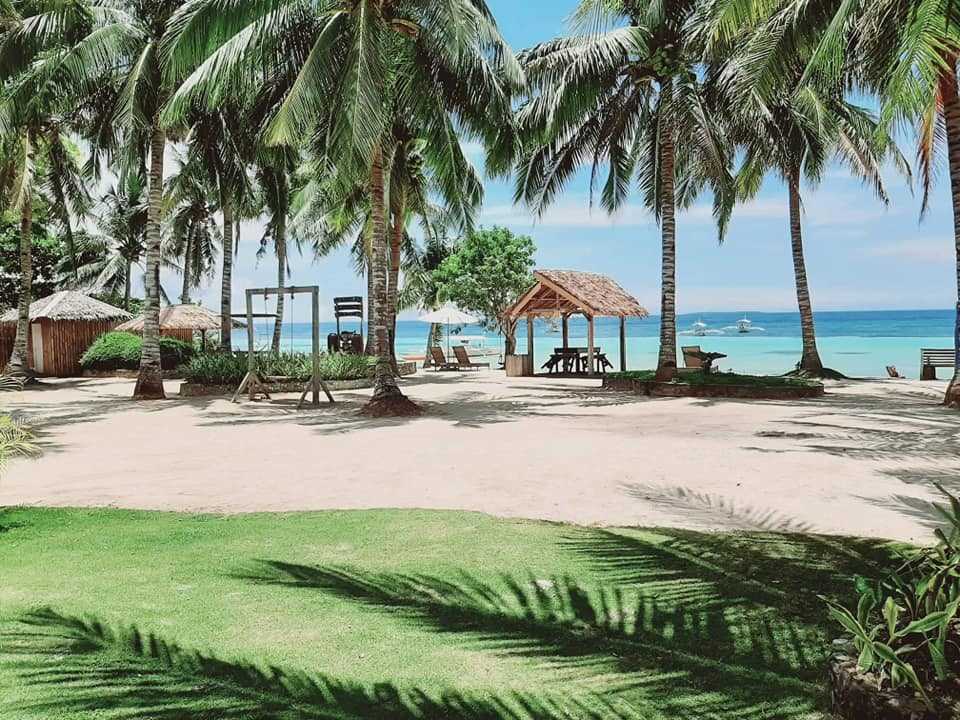 Panglao Grande Resort photo 4