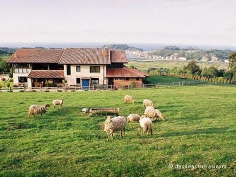 Hotel Rural Paraje del Asturcon photo 3