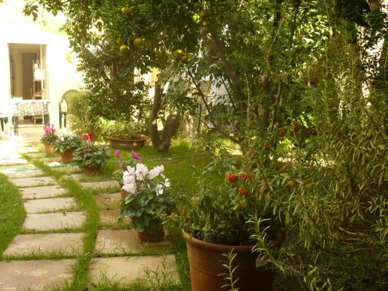 Domo Janas Affittacamere Guesthouse photo 4