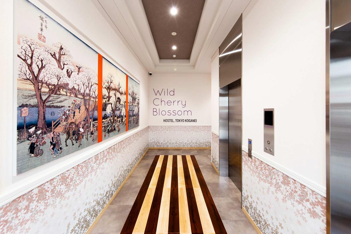 Wild Cherry Blossom-HOSTEL,TOKYO KOGANEI- photo 3