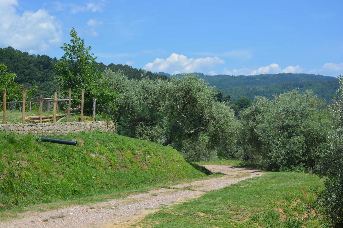 Agri-ostello Podere Vipiana photo 2