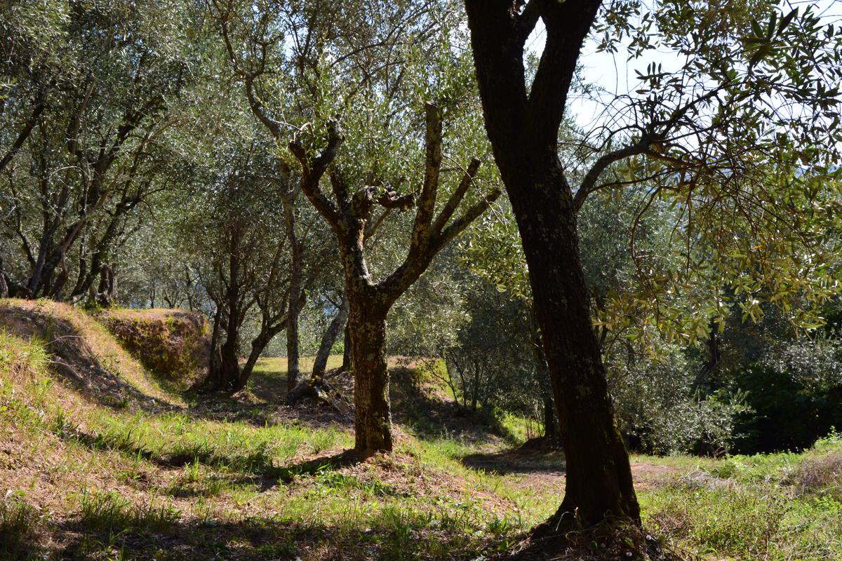 Agri-ostello Podere Vipiana photo 3