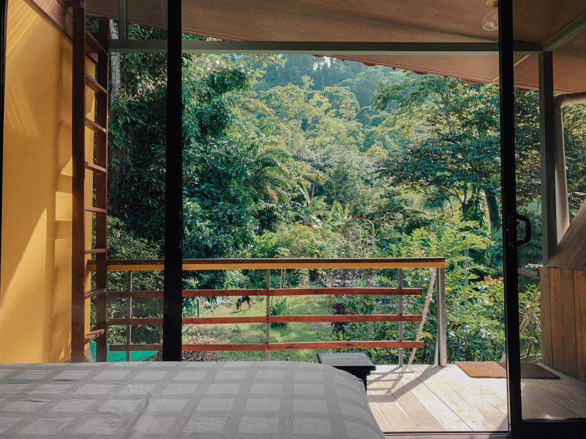Organico Punta Riel photo 4