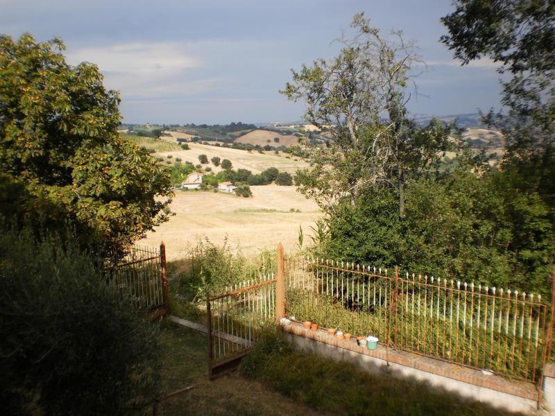 Oak Tree Guesthouse photo 2