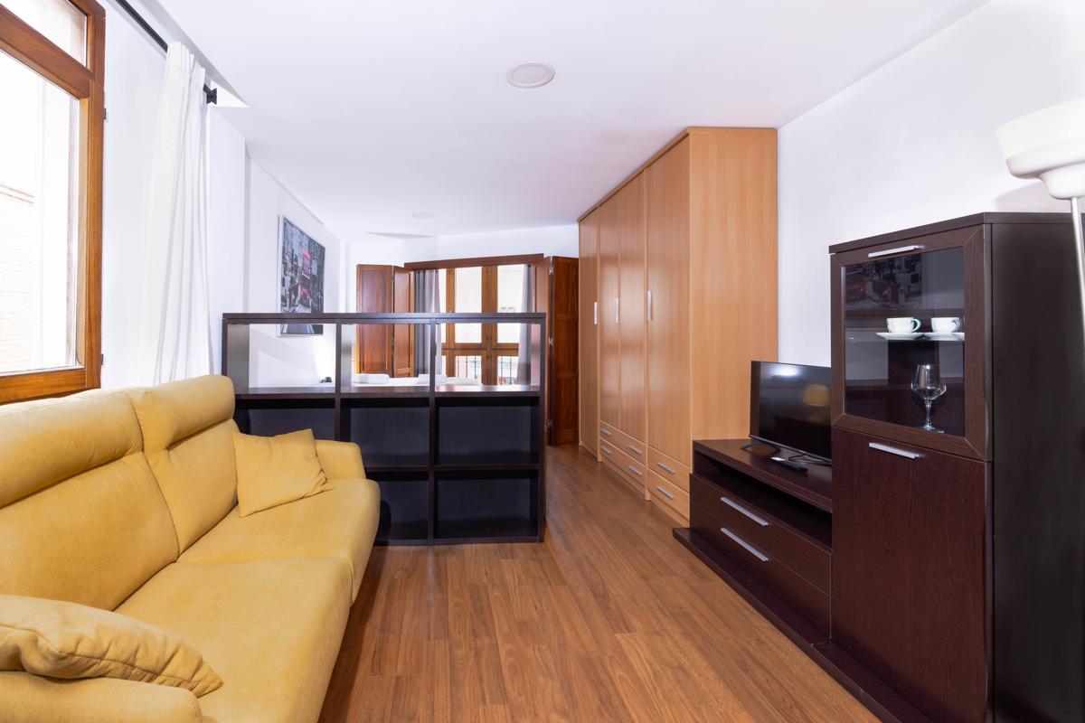 Apartamentos Turísticos Distrito Romano photo 3