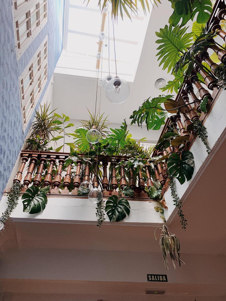 The Urban Jungle Rooftop Hostel photo 4