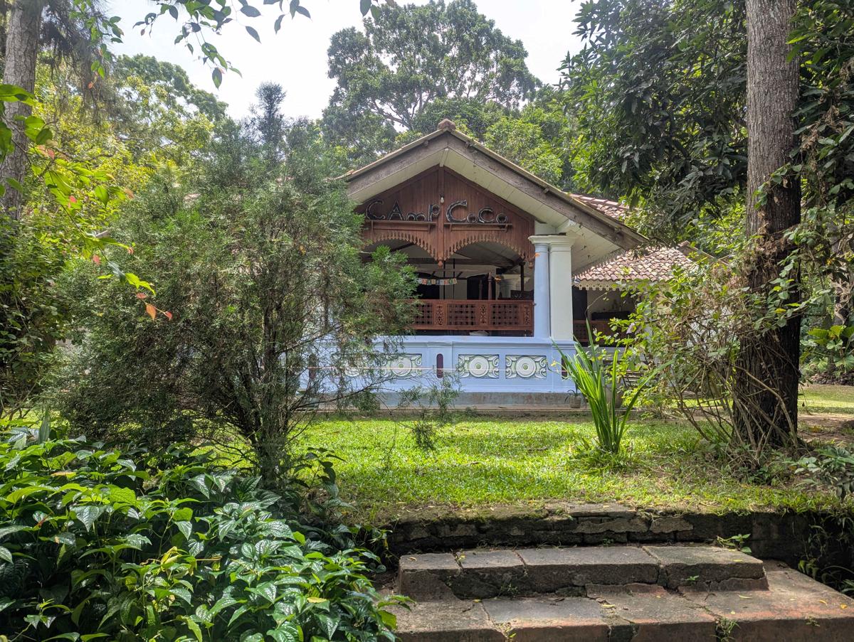 Camp Coconut photo 1