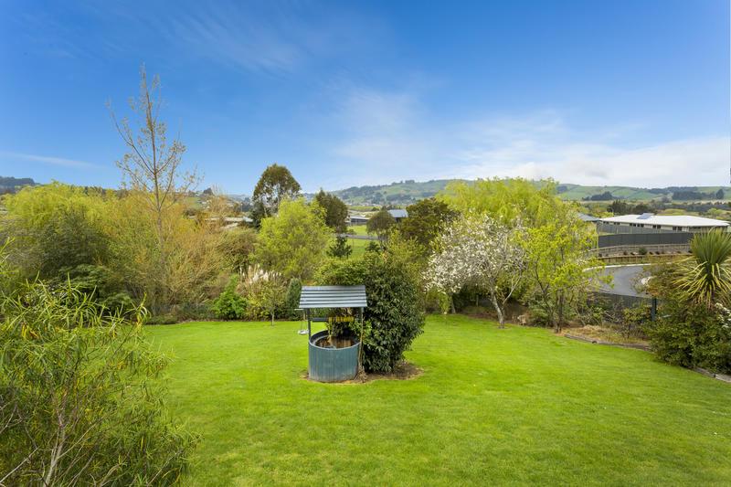 Superior Dunedin Apartments photo 5
