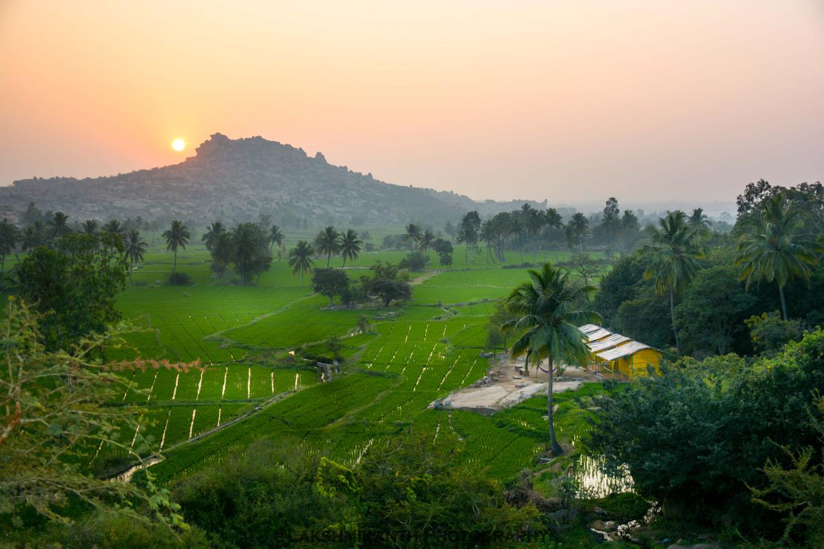 Gowri Nature Stay Hampi photo 1